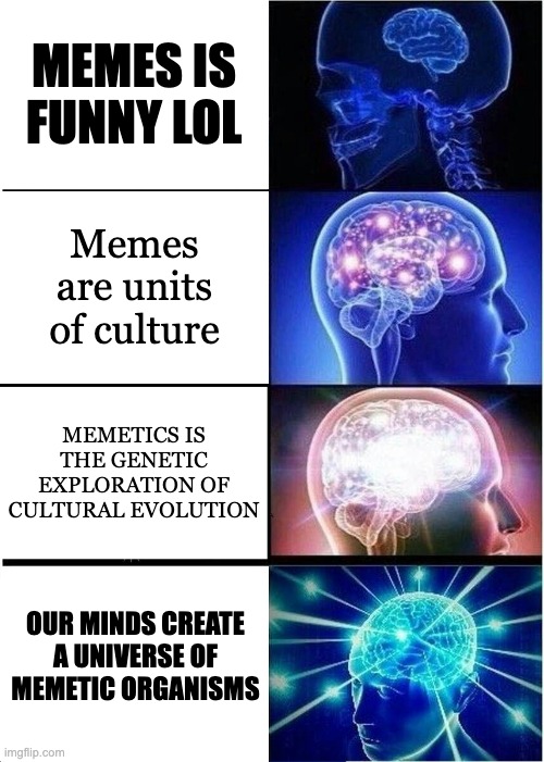 galaxy brain meme showing evolution from 'memes are funny lol' to the below maddness